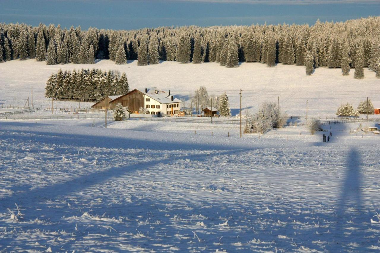 Апартаменты Vent_Du_Nord Tramelan Экстерьер фото